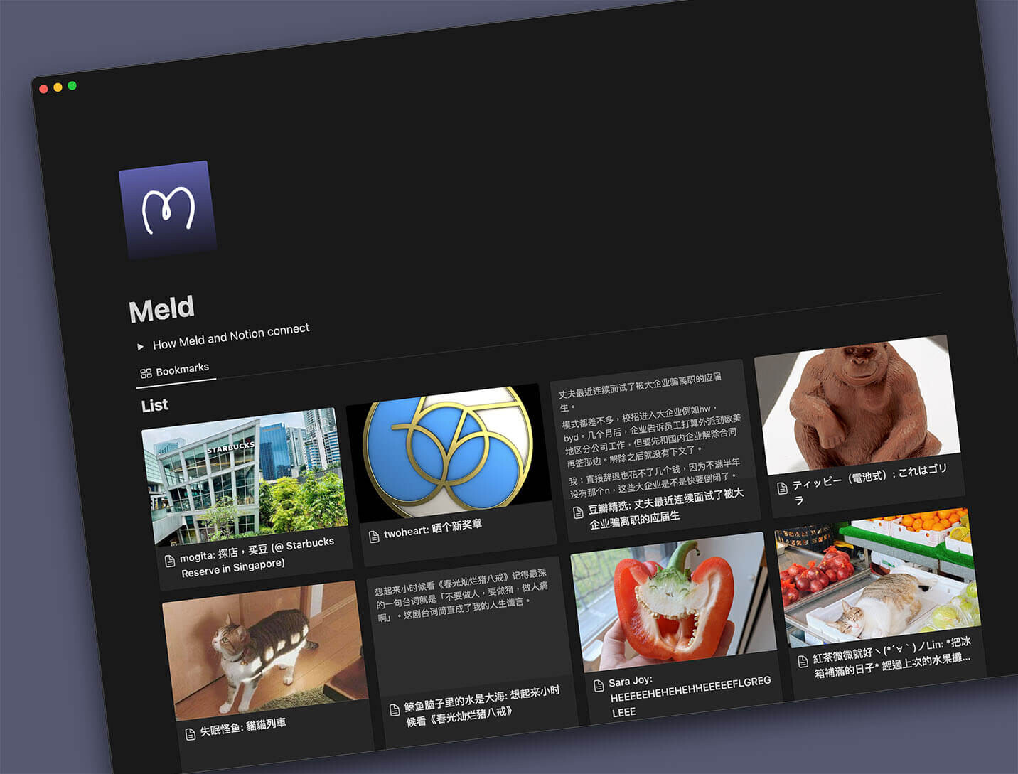 Meld (@meld@mog.blue) - mog.blue